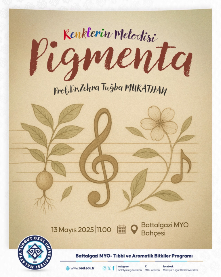 renklerin-melodisi-pigmenta-1049